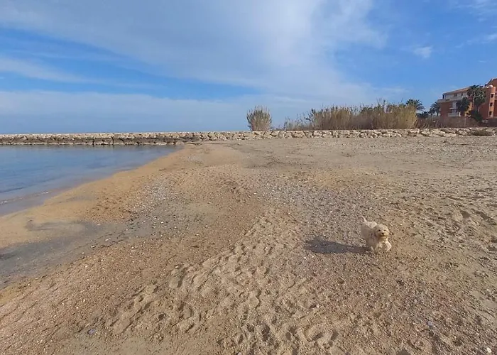 View - Primera Linea Lujo Apartment